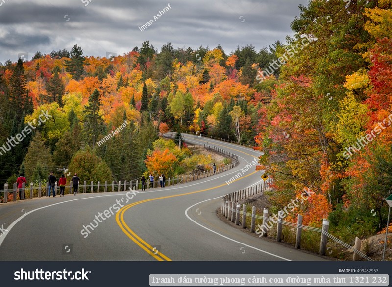 Tranh dán tường phong cảnh con đường mùa thu T321-232